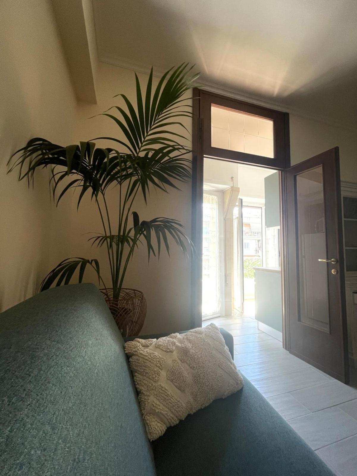 Apartment New Near Center Sleeps 4